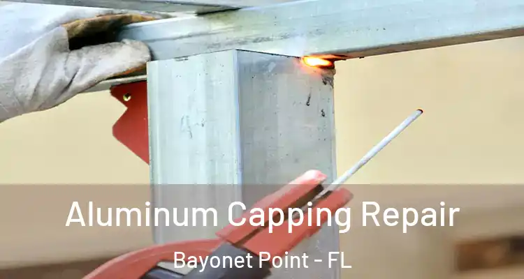  Aluminum Capping Repair Bayonet Point - FL