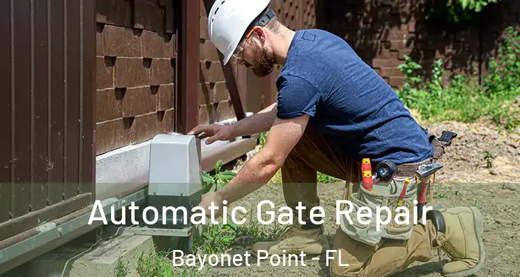  Automatic Gate Repair Bayonet Point - FL