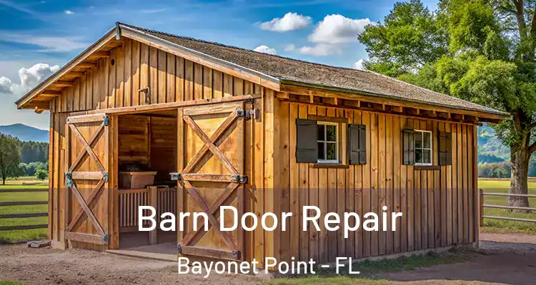  Barn Door Repair Bayonet Point - FL