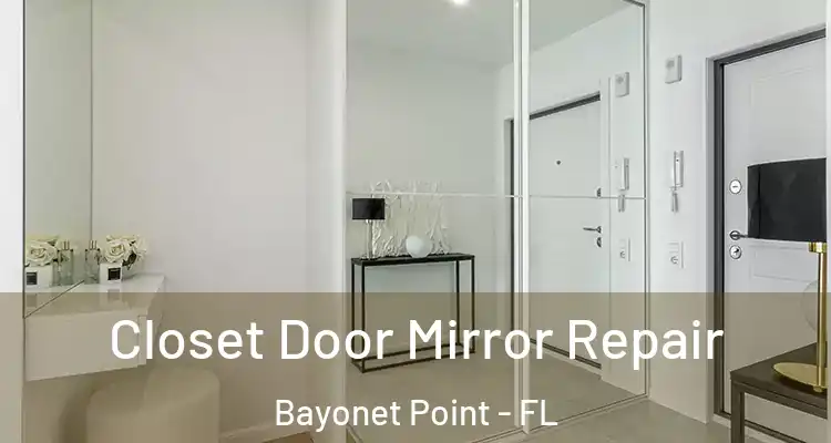  Closet Door Mirror Repair Bayonet Point - FL