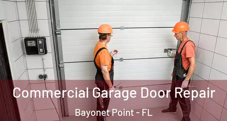  Commercial Garage Door Repair Bayonet Point - FL