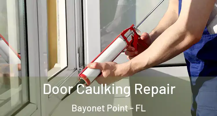  Door Caulking Repair Bayonet Point - FL