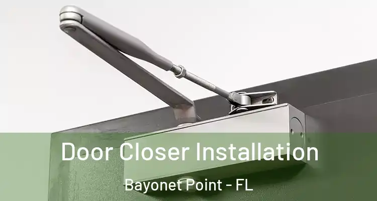  Door Closer Installation Bayonet Point - FL