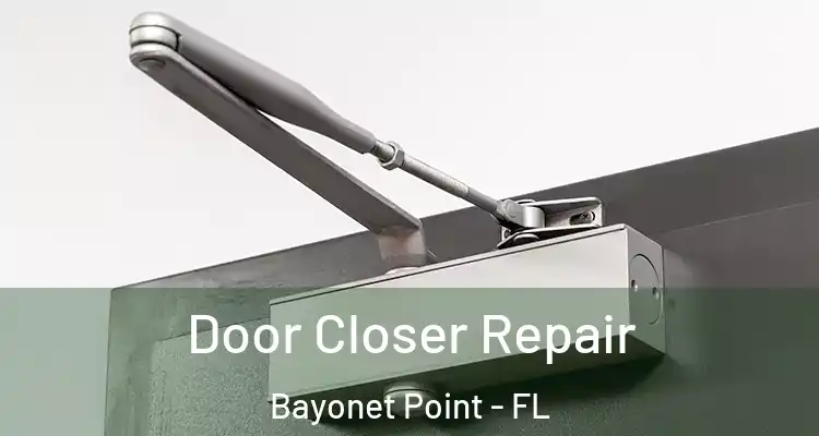  Door Closer Repair Bayonet Point - FL