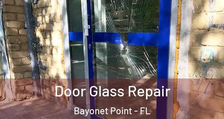  Door Glass Repair Bayonet Point - FL