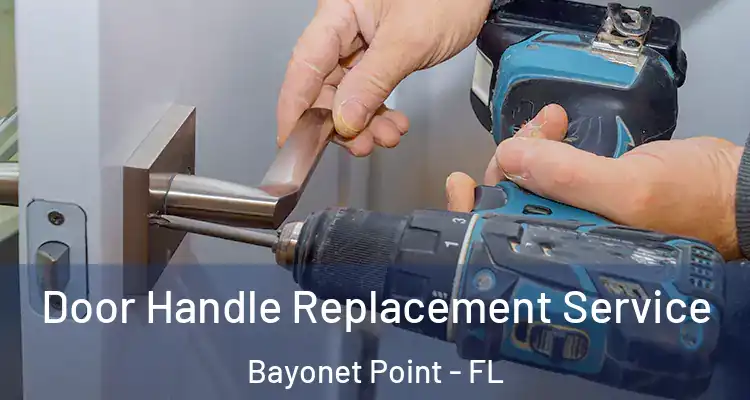  Door Handle Replacement Service Bayonet Point - FL