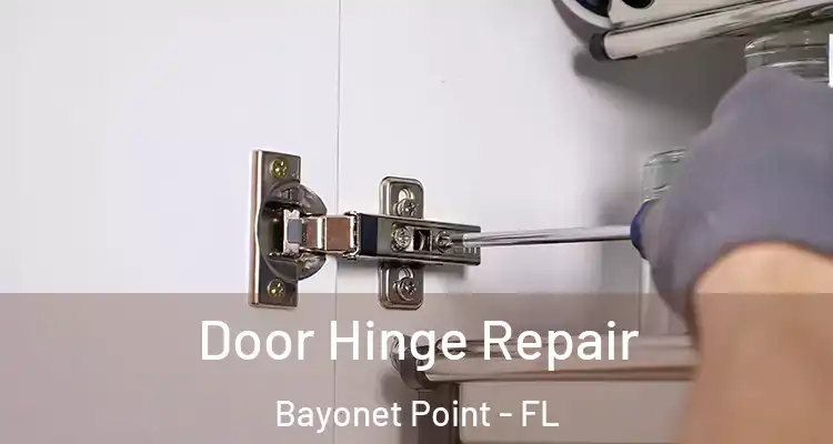  Door Hinge Repair Bayonet Point - FL