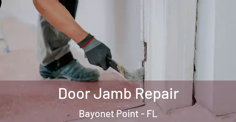  Door Jamb Repair Bayonet Point - FL