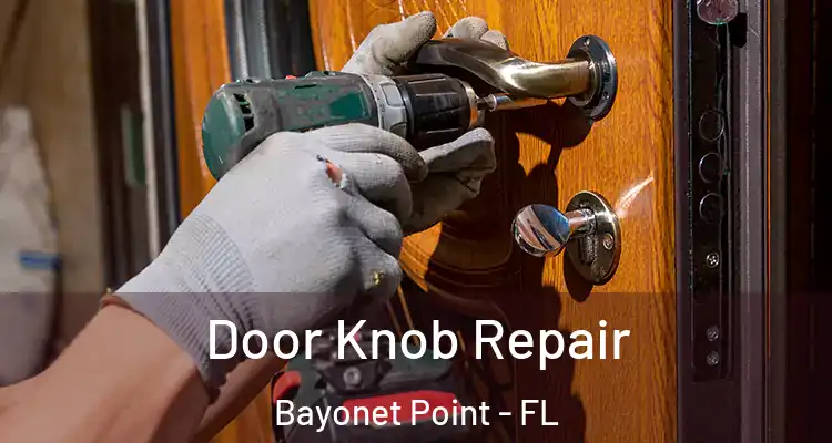  Door Knob Repair Bayonet Point - FL