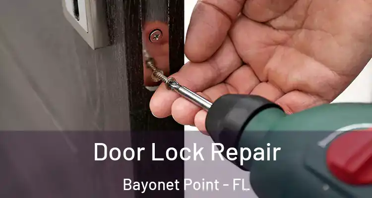  Door Lock Repair Bayonet Point - FL