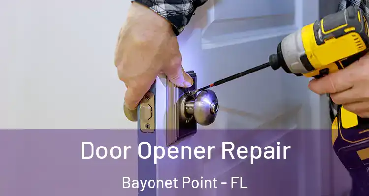  Door Opener Repair Bayonet Point - FL