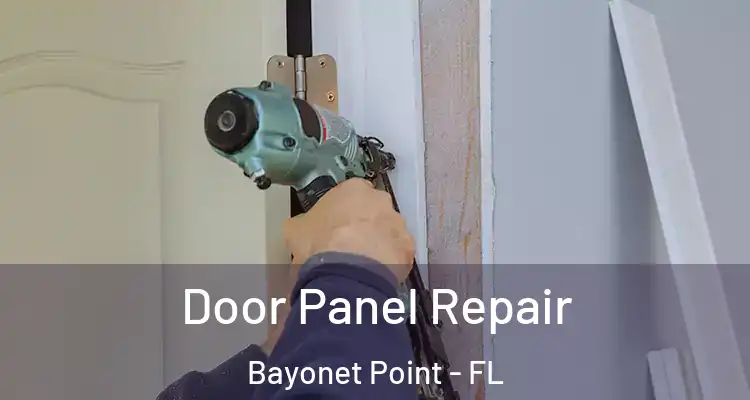  Door Panel Repair Bayonet Point - FL