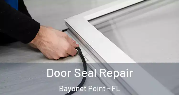  Door Seal Repair Bayonet Point - FL