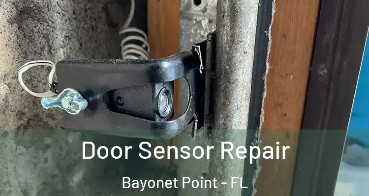  Door Sensor Repair Bayonet Point - FL