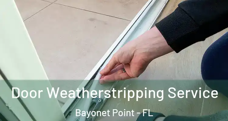  Door Weatherstripping Service Bayonet Point - FL