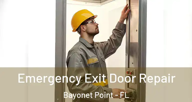  Emergency Exit Door Repair Bayonet Point - FL
