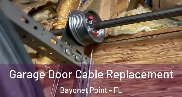  Garage Door Cable Replacement Bayonet Point - FL