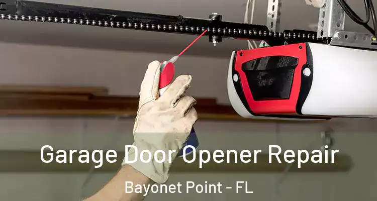  Garage Door Opener Repair Bayonet Point - FL