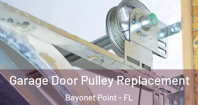  Garage Door Pulley Replacement Bayonet Point - FL
