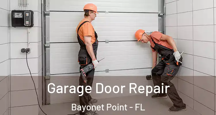  Garage Door Repair Bayonet Point - FL