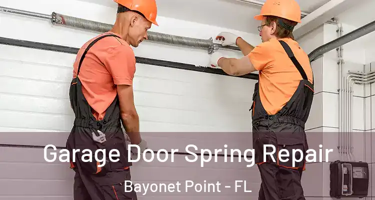  Garage Door Spring Repair Bayonet Point - FL