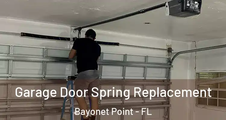  Garage Door Spring Replacement Bayonet Point - FL