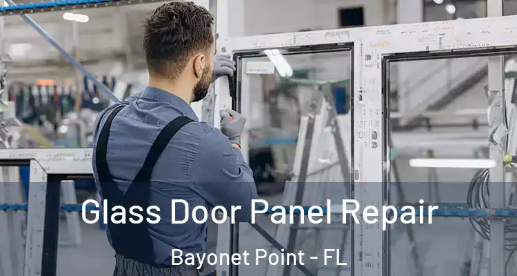  Glass Door Panel Repair Bayonet Point - FL