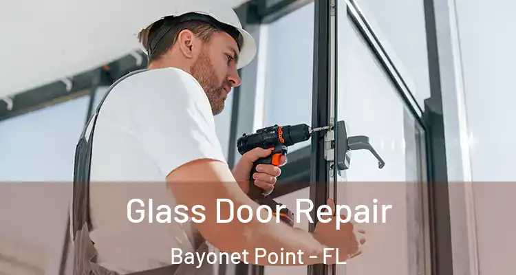  Glass Door Repair Bayonet Point - FL