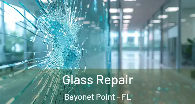  Glass Repair Bayonet Point - FL