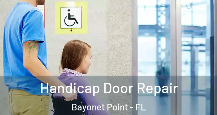  Handicap Door Repair Bayonet Point - FL