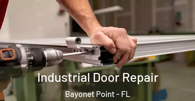  Industrial Door Repair Bayonet Point - FL