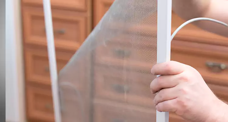 Privacy Mesh Screen Door Installation in Bayonet Point, FL