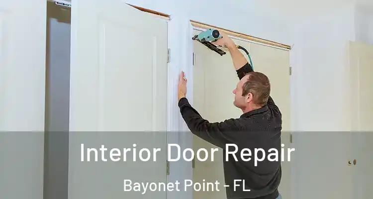  Interior Door Repair Bayonet Point - FL