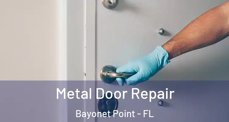  Metal Door Repair Bayonet Point - FL