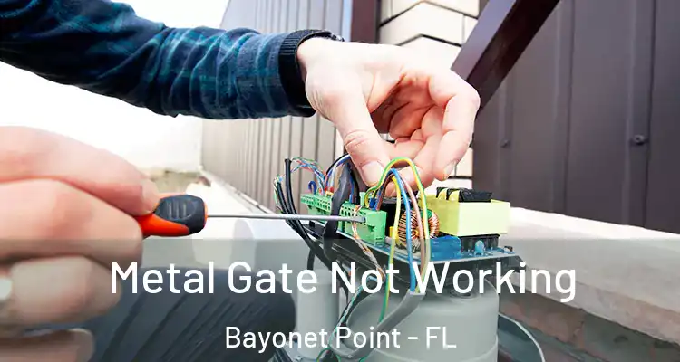  Metal Gate Not Working Bayonet Point - FL