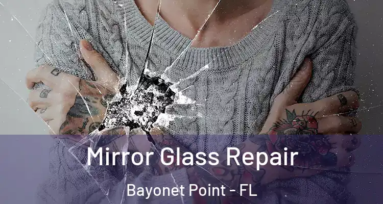  Mirror Glass Repair Bayonet Point - FL