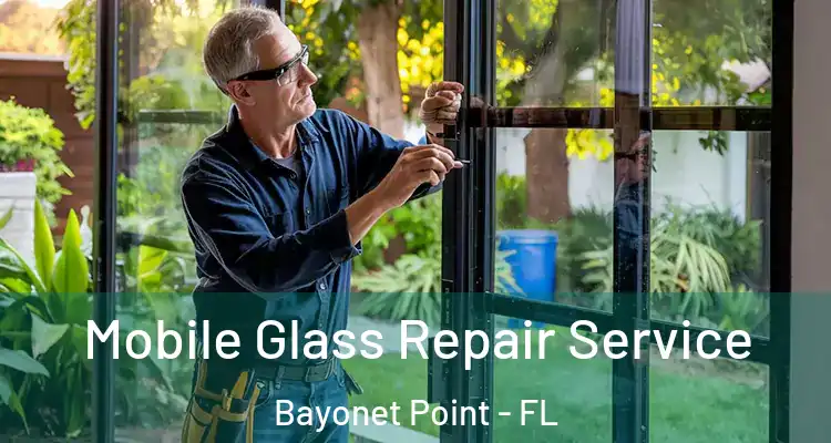  Mobile Glass Repair Service Bayonet Point - FL