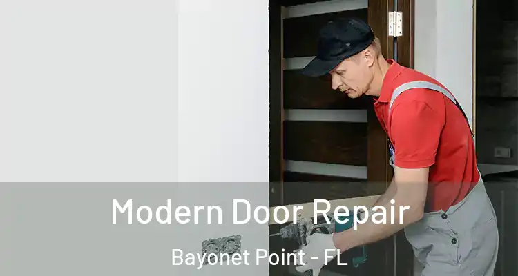  Modern Door Repair Bayonet Point - FL