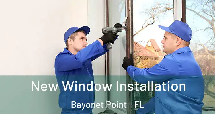  New Window Installation Bayonet Point - FL
