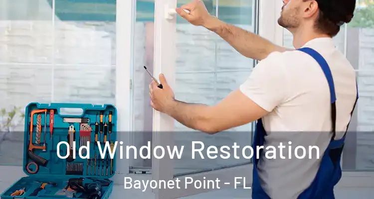  Old Window Restoration Bayonet Point - FL