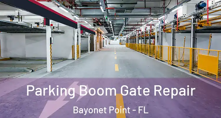  Parking Boom Gate Repair Bayonet Point - FL
