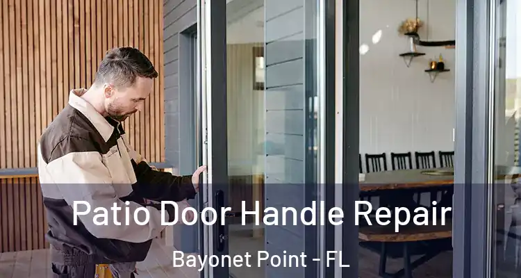  Patio Door Handle Repair Bayonet Point - FL