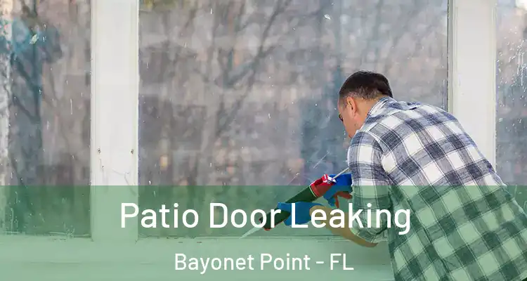 Patio Door Leaking Bayonet Point - FL
