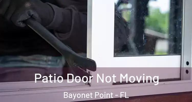  Patio Door Not Moving Bayonet Point - FL