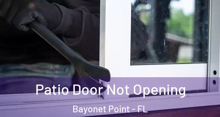  Patio Door Not Opening Bayonet Point - FL