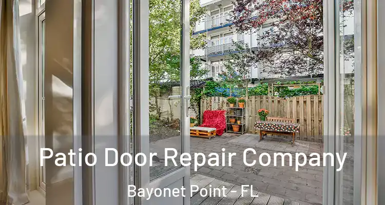  Patio Door Repair Company Bayonet Point - FL