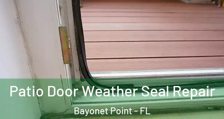  Patio Door Weather Seal Repair Bayonet Point - FL