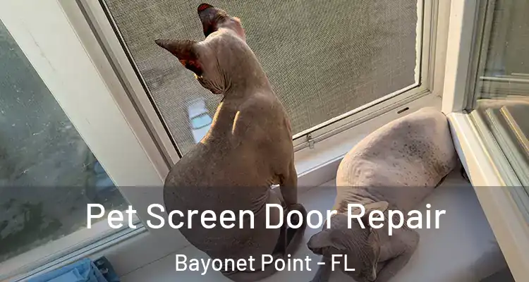  Pet Screen Door Repair Bayonet Point - FL