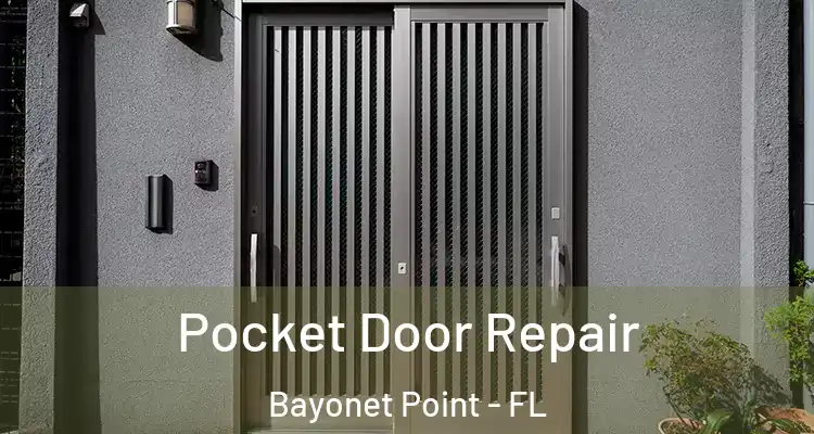  Pocket Door Repair Bayonet Point - FL