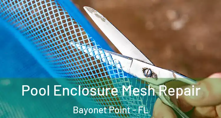  Pool Enclosure Mesh Repair Bayonet Point - FL